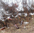DSCN0246 - ИА Ульяновск-город новостей