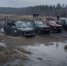 niva_zapovednik007 - ИА Ульяновск-город новостей