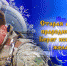 Как мы будем отдыхать в 2018 году? - АиФ Ульяновск