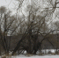 _1019026 - ИА Ульяновск-город новостей