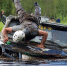 Ульяновским автолюбителям представят проект «Ладога-Трофи» - Ulpravda.Ru