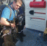 Количество пострадавших выросло. Подробности ЧП на судне в Криушах - Ulpravda.Ru