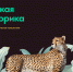 Приглашаем посетить Музей «Дикая Африка» - Министерство образования