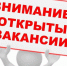Зарплата – до 100000. В Ульяновской области требуются водители, инженеры, ремонтники… - Ulpravda.Ru