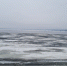 Уровень Волги в Ульяновске пока стабилен - Ulyanovsk.Express