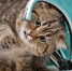 31 марта не будет воды на двух улицах Железнодорожного района Ульяновска - Simbirsk.City