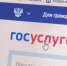 От открытого колодца до оценки местной власти. Как ульяновцы проблемы на «Госуслугах» решают - Ulpravda.Ru