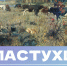 Аркадий Пластов. «Пастухи». (Проект «Картины А. Пластова из музеев России в Ульяновске») - УОXМ