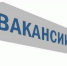 Как частичная мобилизация отразится на рынке труда Ульяновской области - Ulpravda.Ru