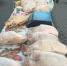 Ветеринары проверили качество продукции на ярмарке в Заволжье - Ulpravda.Ru