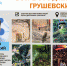 Встреча с Дмитрием Грушевским - ЦБС Ульяновска