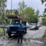Ураган повалил в Ульяновской области более 400 деревьев - Ulpravda.Ru