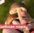 Без имени-1.jpg - Роспотребнадзор Ульяновской области