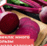 Без имени-1.jpg - Роспотребнадзор Ульяновской области