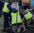 На улице Радищева высадили молоденькие липы - Ульяновск сегодня