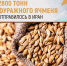 news-detail - Минагропром