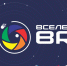 В апреле в Каргополе состоится открытие выставки проекта «Вселенная BRICS» - UlKul.Ru