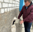 Дом №10 на переулке Академика Павлова могут признать аварийным - Городская Дума