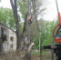 В Ульяновске на крышу дома упало дерево - Ulpravda.Ru