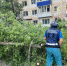 В Ульяновске ураган и ливень повалили деревья и оборвали провода - Ulpravda.Ru