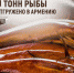 news-detail - Минагропром