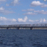 На подъездах к Императорскому мосту планируют организовать посты ДПС - Ulpravda.Ru