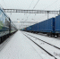 В Ульяновск из Ирана прибыл первый поезд с «обратной загрузкой» - Ulyanovsk.Express