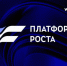 Проект «Платформа роста» от АСИ и Wildberries&Russ представили Президенту России - Минэкономразвития