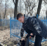 В канун Великой Победы ульяновская молодёжь благоустраивает памятные места - Ulpravda.Ru