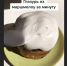 Юлин топчик. Как приготовить глазурь для куличей без яиц - Ulpravda.Ru