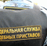Судебные приставы помогли ульяновцам избавиться от тараканов - Ulpravda.Ru