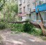 В Ульяновске спасатели распилили дерево, упавшее от непогоды - Комсомольская правда