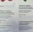 Управление Федеральной службы судебных приставов по Ульяновской области разъясняет нюансы оформления электронного заявления на получение единого пособия на детей и беременных женщин - УФССП по Ульяновской области
