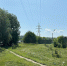 В Ульяновске продолжается  покос травы - Городская Дума