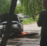 Питбайкер попал под иномарку в Заволжском районе Ульяновска - Ulyanovsk.Express