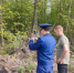 750 тысяч ущерба: в Старомайнском районе возбудили дело о незаконной вырубке леса - Ulyanovsk.Express