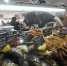 В Ульяновске изъяли более 55 тонн нелегальной рыбной продукции на 18 млн - Комсомольская правда