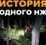 Найдена, жива! Как поисковики спасли бабушку в лесу - Ulpravda.Ru