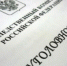 В Ульяновской области директор коммерческой организации обвиняется в сокрытии денежных средств от налогообложения в крупном размере - Следственный комитет
