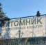 Репортаж из питомника: ultoday73.ru посмотрел саженцы для озеленения Ульяновска - Ульяновск сегодня
