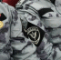В Ульяновске сотрудников ОМОН поздравили с профессиональным праздником - Росгвардия
