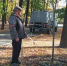 В Театральном сквере и на Новом Венце в Ульяновске появились молодые липы - Комсомольская правда