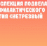 Региональная Госавтоинспекция подвела итоги профилактического мероприятия «Нетрезвый водитель» - UlyanovskCity.Ru