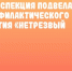 Региональная Госавтоинспекция подвела итоги профилактического мероприятия «Нетрезвый водитель» - UlyanovskCity.Ru
