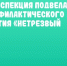 Региональная Госавтоинспекция подвела итоги профилактического мероприятия «Нетрезвый водитель» - UlyanovskCity.Ru