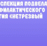 Региональная Госавтоинспекция подвела итоги профилактического мероприятия «Нетрезвый водитель» - UlyanovskCity.Ru