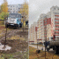 41 новое дерево для Ульяновска: где появились молодые липы - Ulyanovsk.Express