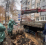 41 липу высадили в Ульяновске - Ulpravda.Ru