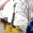 С улицы Ростовской убрали упавшее дерево - Ulpravda.Ru