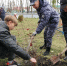 В Ульяновске высадили сад в честь памяти Героя СССР Ивана Громова - Комсомольская правда